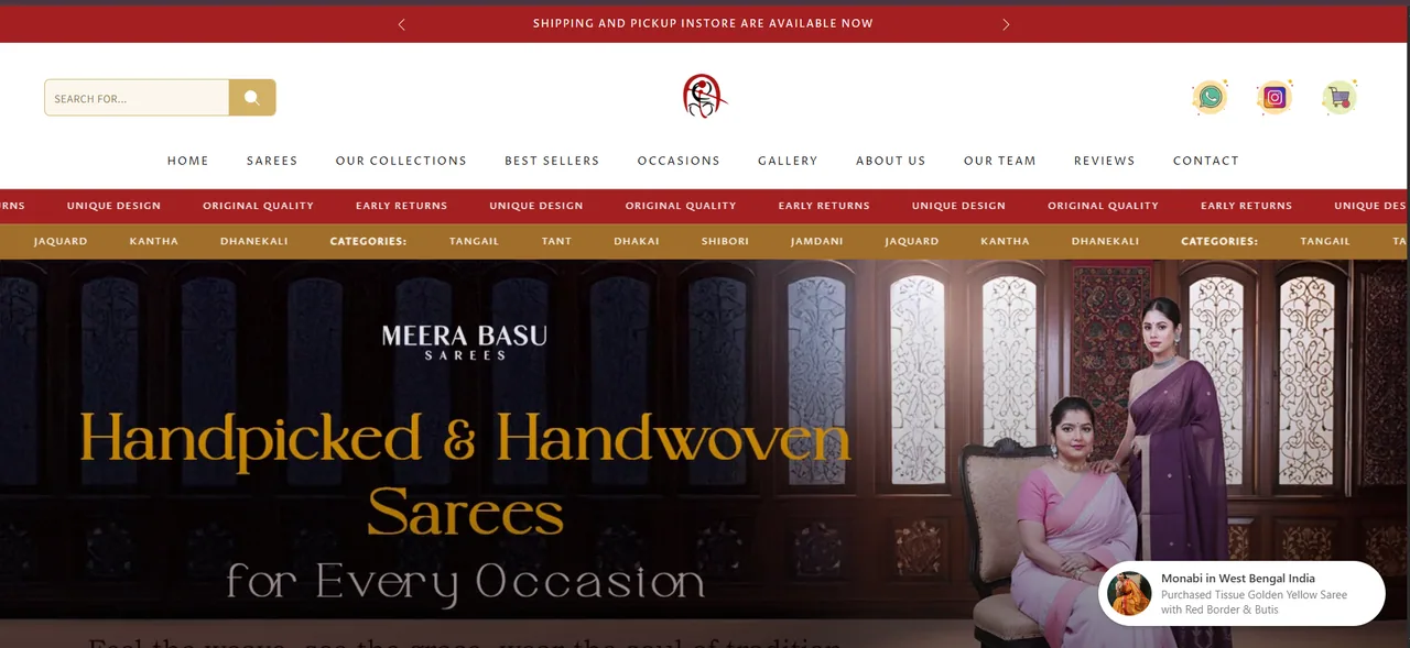 Meera Basu website
